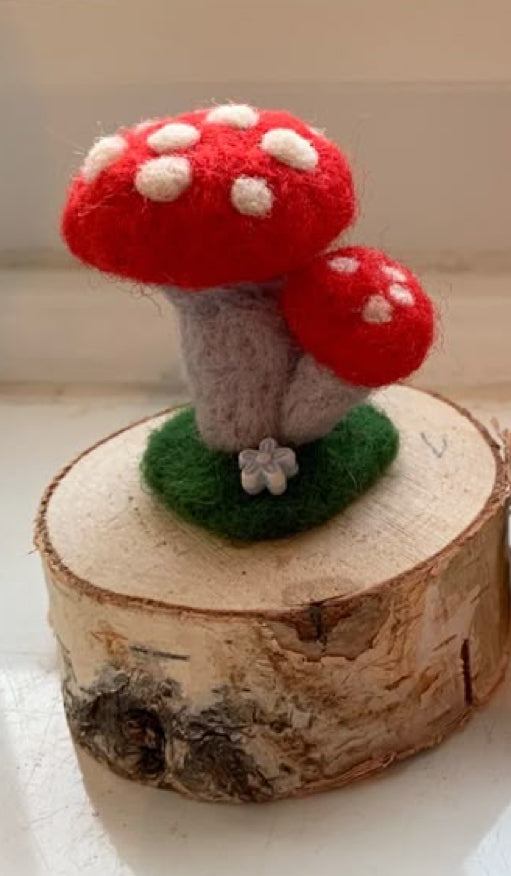 Fairy Garden Needle Felting - Wednesday 8th July 1.00-3.00pm