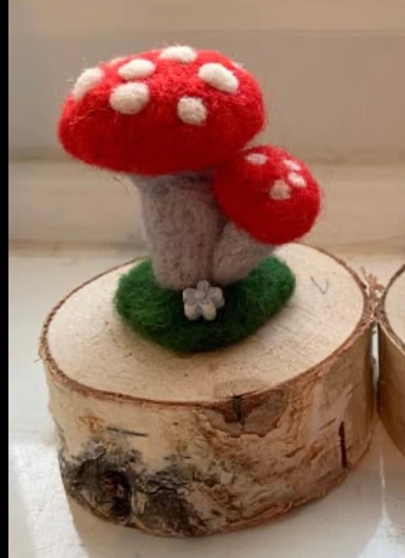 Felted fairy garden - Friday 17th April 1.00-3.00 pm