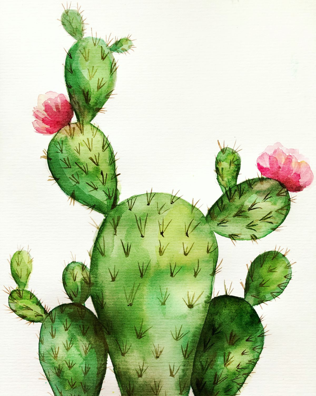 Cacti Water Colour Painting - Thursday 8th January 10.30-12.30pm